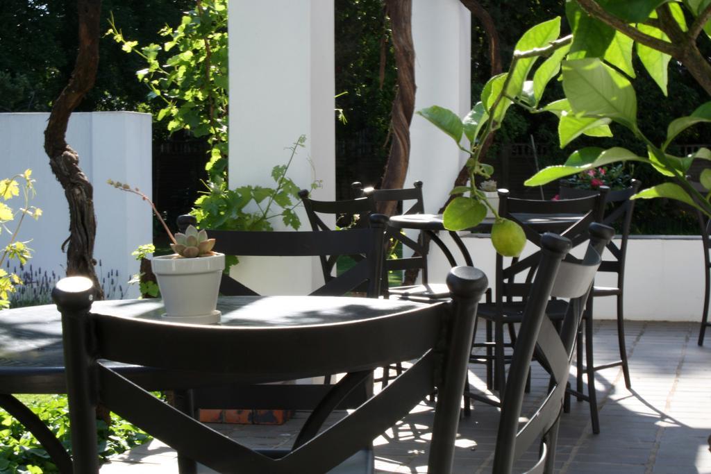 بلومفونتين Lemon & Lime Guesthouse المظهر الخارجي الصورة