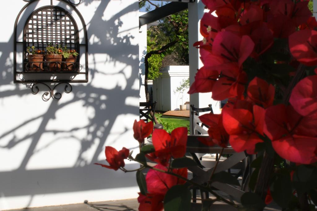 بلومفونتين Lemon & Lime Guesthouse المظهر الخارجي الصورة