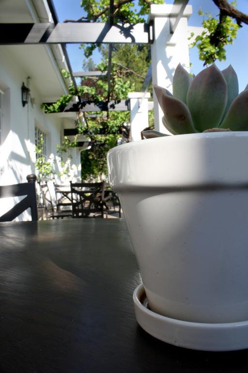 بلومفونتين Lemon & Lime Guesthouse المظهر الخارجي الصورة